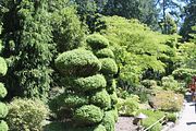 104 - Butchard Gardens  - IMG_1718